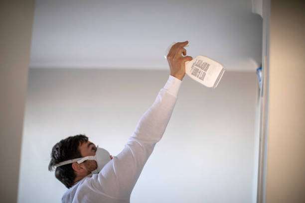 Best Commercial Mold Removal  in Winthrop, MN