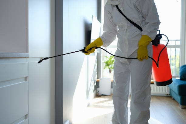 Office Mold Removal Services in Winthrop, MN
